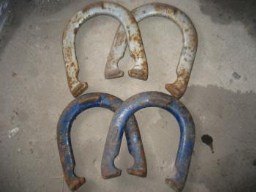 horse shoes